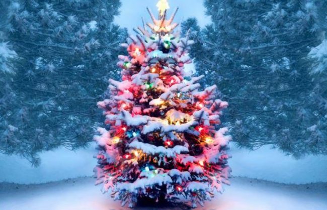 christmas traditions – image credit – gettyimage 1 Christmas Charity Event _ (Christmas tree) Favoured Men Austria